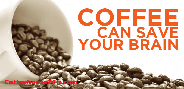 Is organic coffee your brain food